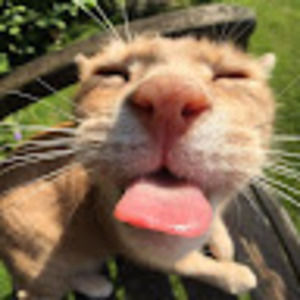 Meet your Posher, James